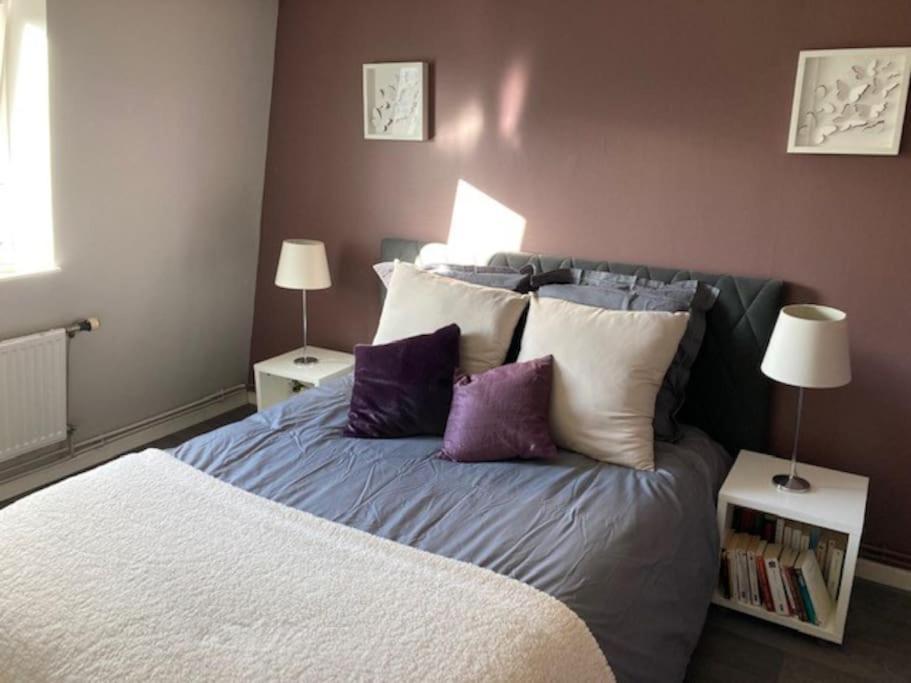 Agreable Et Spacieuse Maison Centre Ville Saint-Omer Extérieur photo